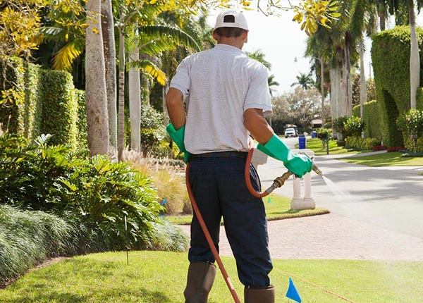 About Cordova NC Pest Control